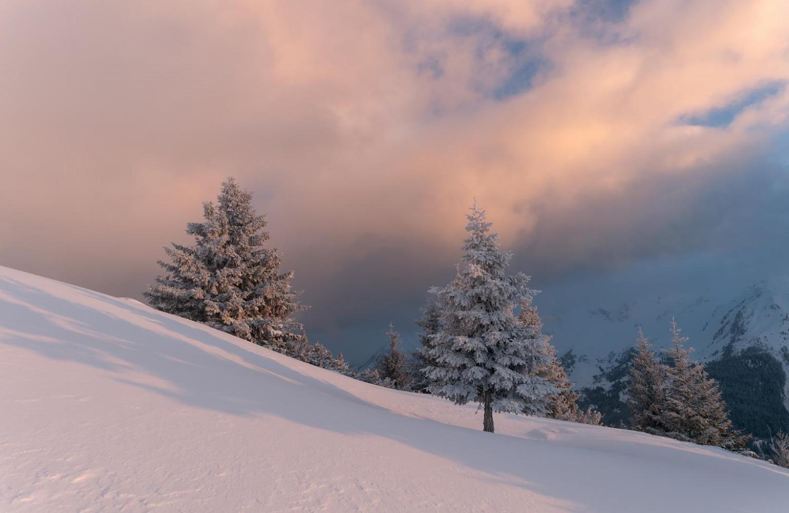 Appartamento Haus Moikler Zell am Ziller Esterno foto